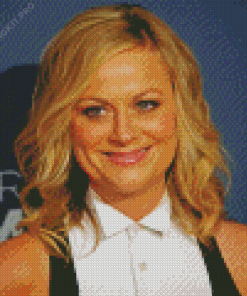 Amy Poehler Diamond Painting