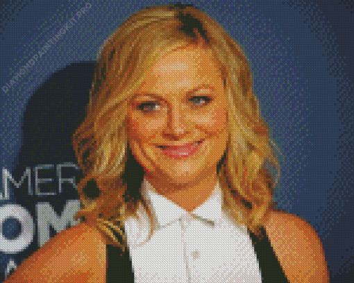 Amy Poehler Diamond Painting