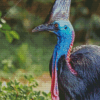 Cassowary Diamond Painting