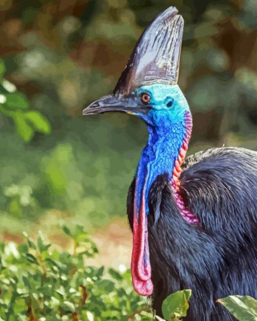 Cassowary Diamond Painting