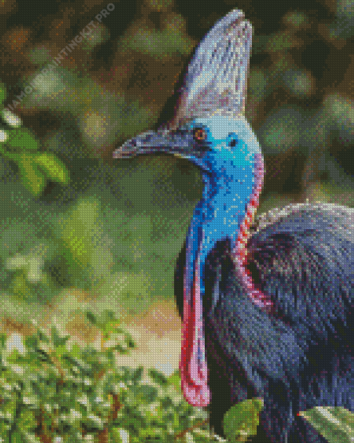 Cassowary Diamond Painting