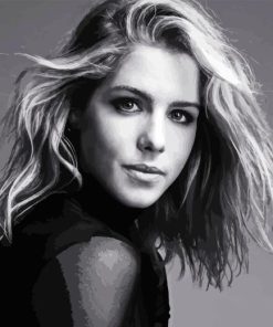 Emily Bett Rickards Diamond Painting