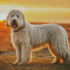 Komondor Diamond Painting