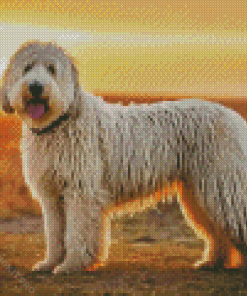 Komondor Diamond Painting