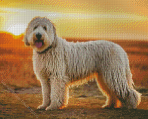 Komondor Diamond Painting