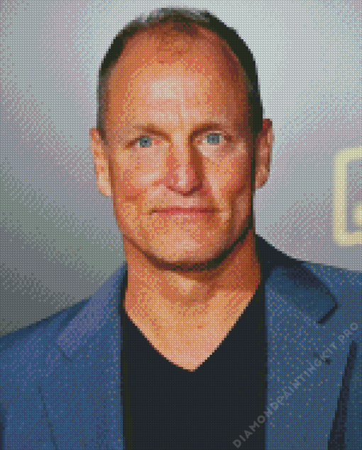 Woody Harrelson Diamond Painting