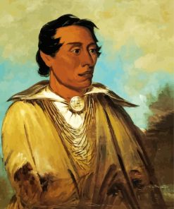 George Catlin Diamond Painting