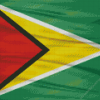 Guyana Flag Diamond Painting