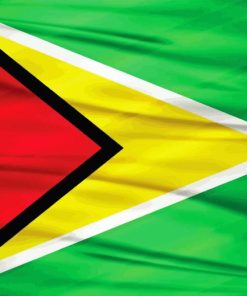 Guyana Flag Diamond Painting