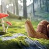 Mushroom and Snail Diamond Painting