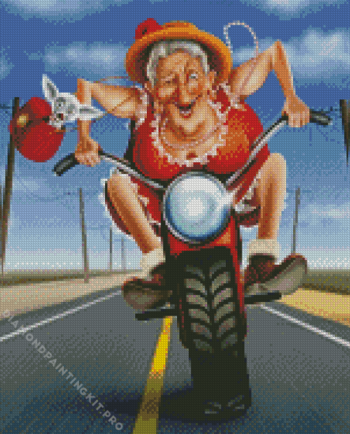 Old Lady On Motorcycle Diamond Painting