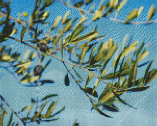 Olive Branch Diamond Painting