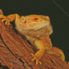 Bearded Dragon Diamond Painting