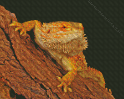 Bearded Dragon Diamond Painting