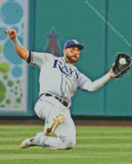 Kevin Kiermaier Diamond Painting