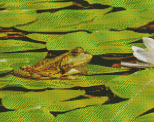 Little Frog Diamond Painting