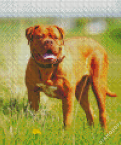 Mastiff Dog Diamond Painting