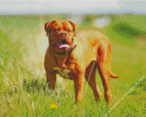 Mastiff Dog Diamond Painting