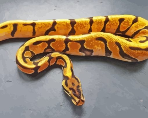 Orange Ball Python Diamond Painting