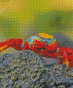 Sea Crab Diamond Painting