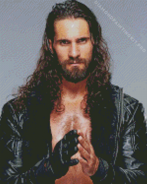 Seth Freakin Rollins Diamond Painting