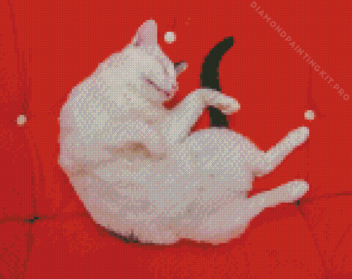 Sleepy White Cat Diamond Painting