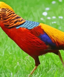 The Golden Pheasant Bird Diamond Painting