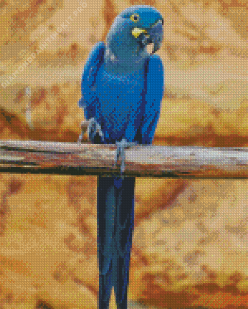 The Lear’s Macaw Diamond Painting