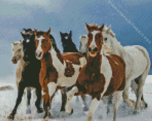 Horses Snow Diamond Painting