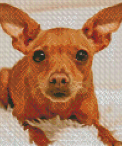 Miniature Pinscher Diamond Painting