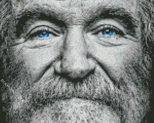 Robin Williams Diamond Painting