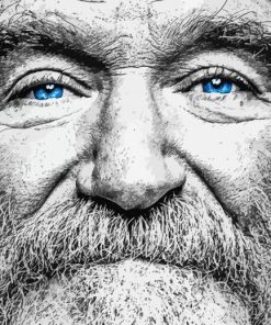 Robin Williams Diamond Painting