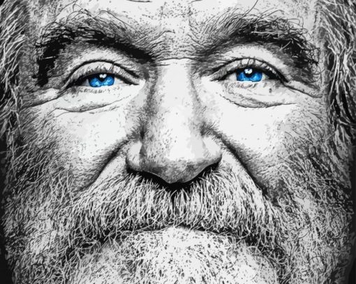 Robin Williams Diamond Painting