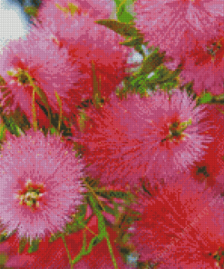 Pink Bottle Brush Flowers Diamond Painting