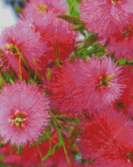 Pink Bottle Brush Flowers Diamond Painting