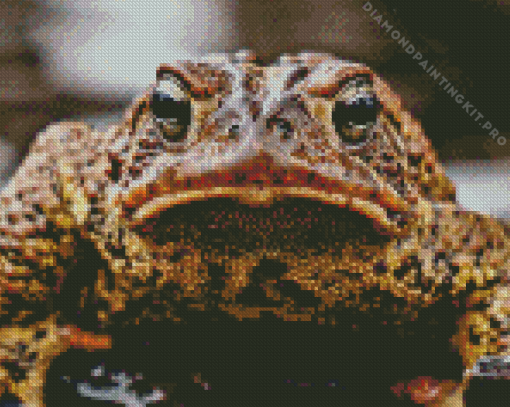 Angry Toad Animal Diamond Painting