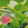 Anole Lizard Reptile Diamond Painting