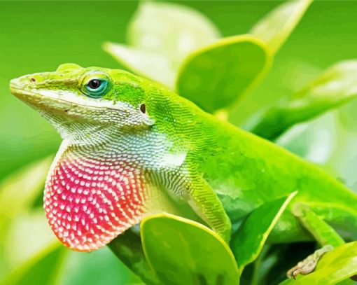 Anole Lizard Reptile Diamond Painting