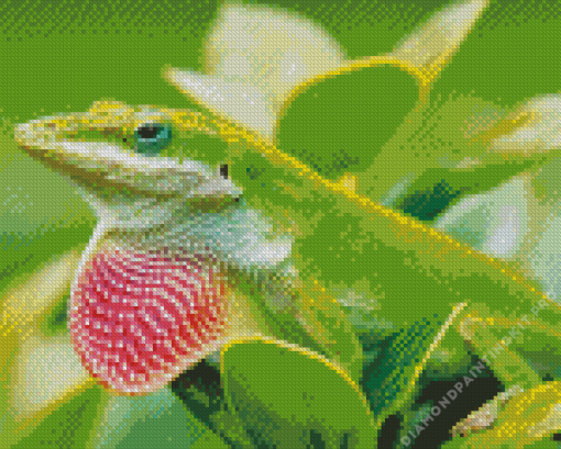 Anole Lizard Reptile Diamond Painting