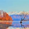 Arrowtown South Island Landscape Diamond Painting