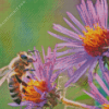 Bee on Purple Flowers Diamond Painting