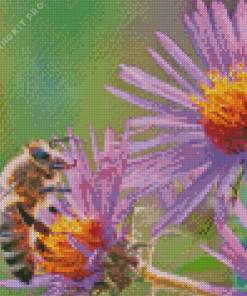 Bee on Purple Flowers Diamond Painting