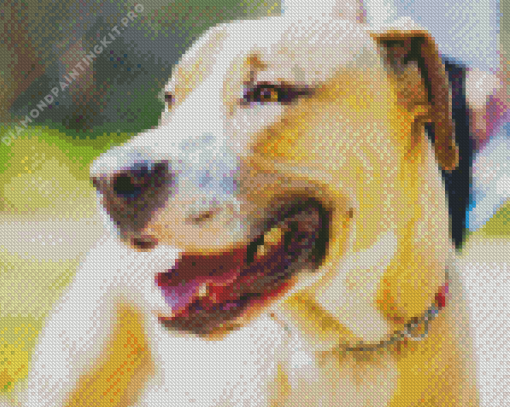 Beige Bull Arab Dog Diamond Painting