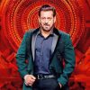 Bigg Boss Salman Khan Diamond Painting