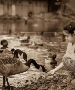 Black and White Girl with Geese Diamond Painting