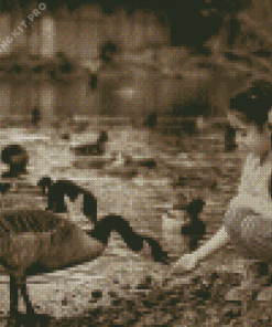 Black and White Girl with Geese Diamond Painting