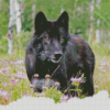 Black Wild Wolf Diamond Painting