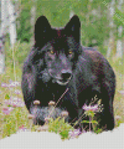 Black Wild Wolf Diamond Painting