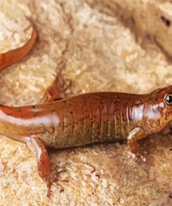 Brown Salamander Diamond Painting