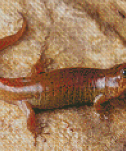 Brown Salamander Diamond Painting